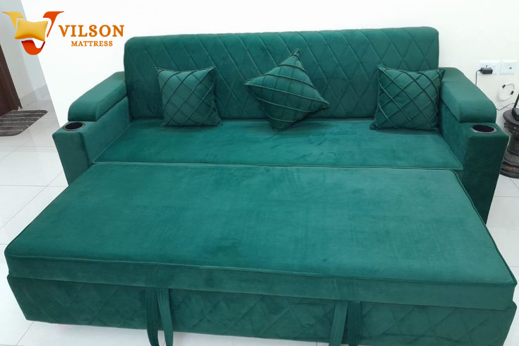 Vilson Sofa Cum Bed