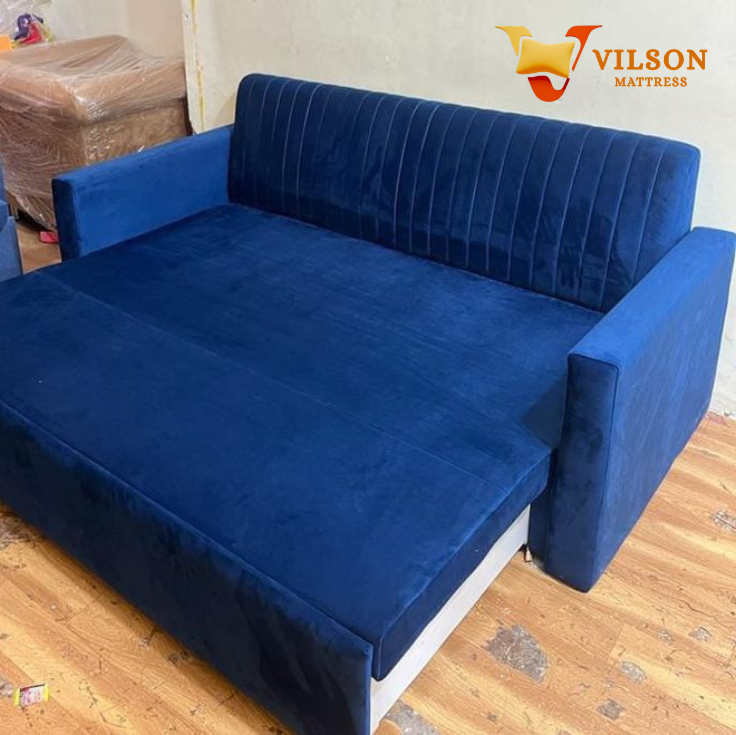 Vilson Sofa Cum Bed